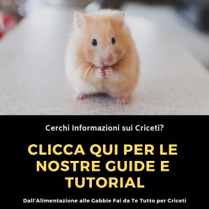 Guide-Criceti